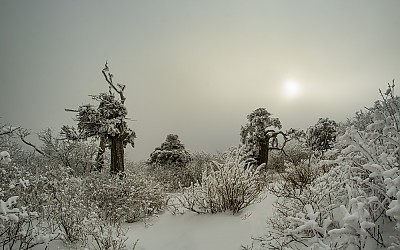 겨울풍경