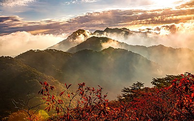속리산