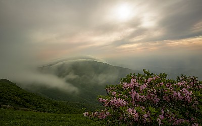 소백