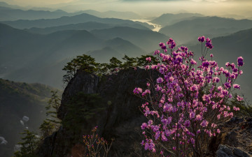 구봉산 그아름다운 아침에