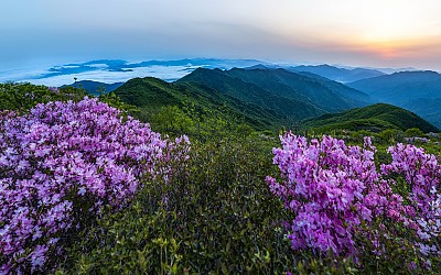 지리산