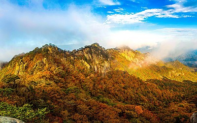 속리산의 가을