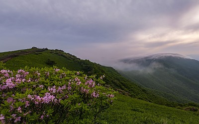 국망봉