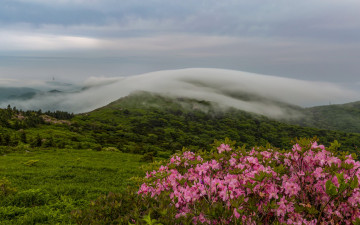 연화봉 가는능선에