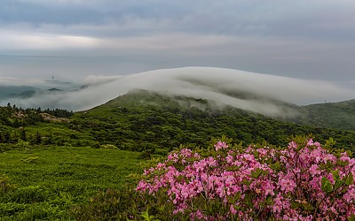연화봉 가는능선에