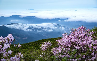 만복대