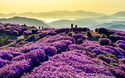 산정의 빛