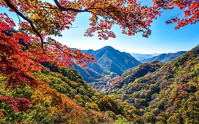 약사암 단풍