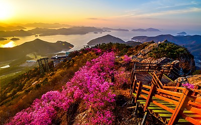 미륵산