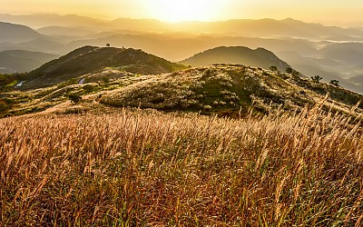 황매산