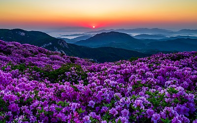 황매산 일출