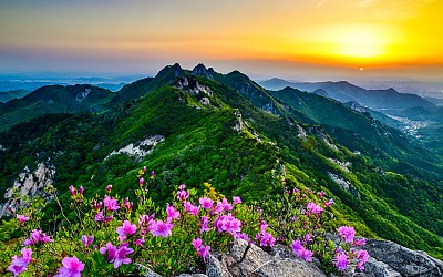 계룡산