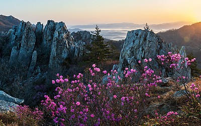 주작산