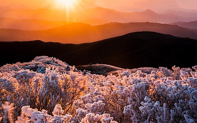 겨울을보았네