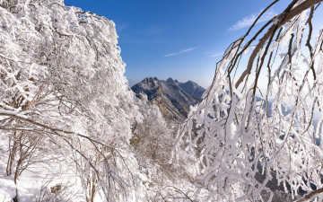 빙화가 핀 계룡산
