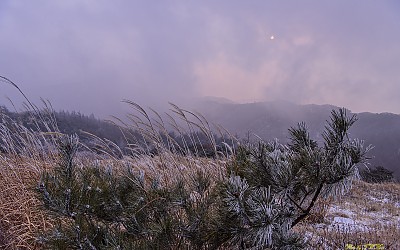 바래봉(`17.12.07)