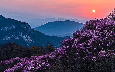 황매산 !