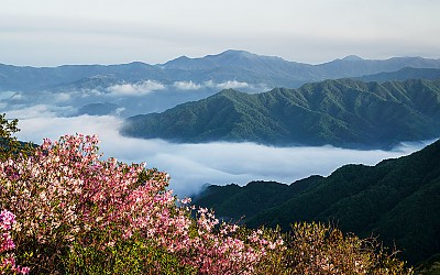 봉화산 !