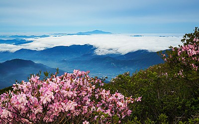 지리산 !