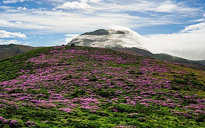 한라산 !