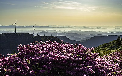 한우산 !