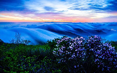 지리산 !