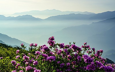 지리산 !