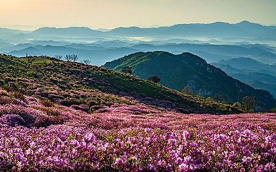 황매산 !