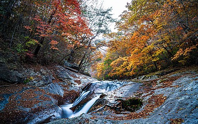 덕유산 !