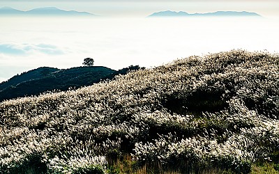 황매산 !