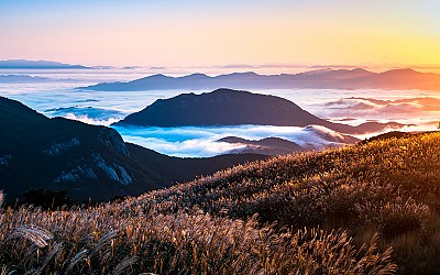 황매산 !
