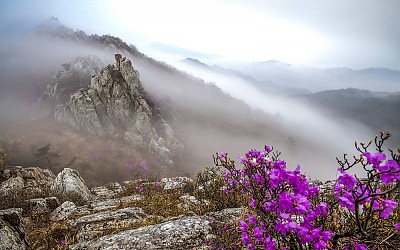 주작의 추억입니다.