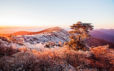 덕유에 해가 뜰때