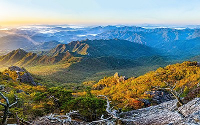 서성재의 초가을