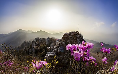 덕룡산의 오후풍경