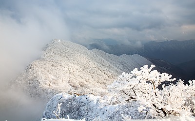 가지산