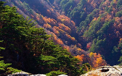 두타산의 가을