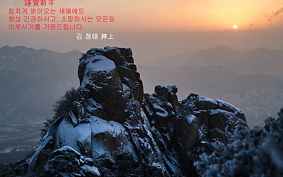 새해도 복 많이 받으시기 바랍니다.