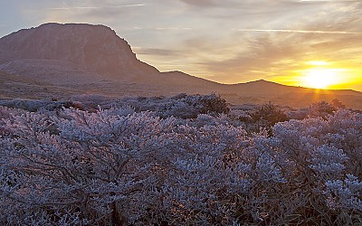 한라산