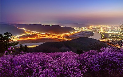 와룡산 진달래