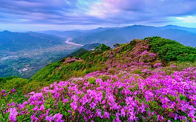 형제봉