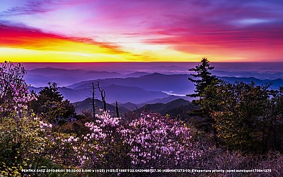 지리중봉의아침