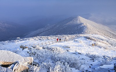 함백산 춘설 (3/13)