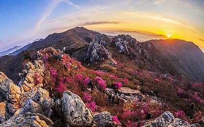 주작산