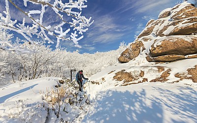 구정봉 하산길에 (21/02/19)