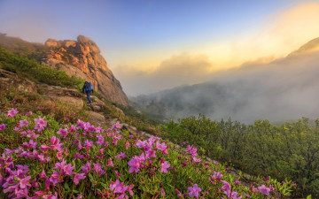 강풍의 꽃샘추위에도 산에 오른다.
