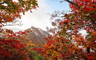 단풍나들이길에