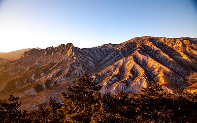 성인대의 아침시간에...