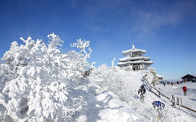 설경