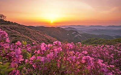 좋은 아침